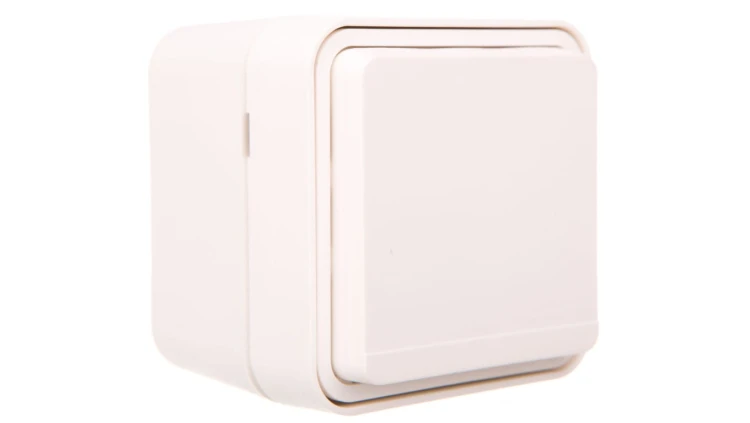 Berker W.1 Gniazdo pojedyncze z/u kompletne IP55 biały 6768813512