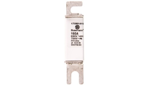 Wkładka bezpiecznikowa DIN000 160A aR 690V 170M1419