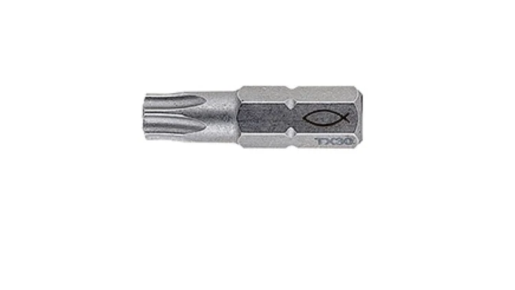 Bit profesjonalny PROFI BIT FPB T30 W 10 557849 /10szt./