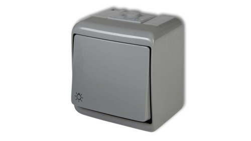 JUNIOR Przycisk /światło/ popielaty IP54 10WHE-5