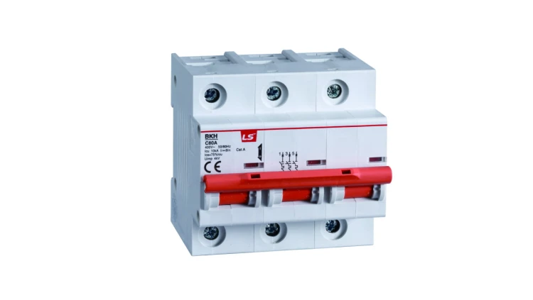 Wyłącznik instalacyjny LS Electric BKH 2P, 63A, charakterystyka D 06110341R0 BKH 2P D63A