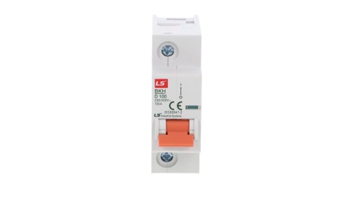 Wyłącznik modułowy LS Electric BKH 1P 100A charakterystyka D 06110335R0 BKH 1P D100A