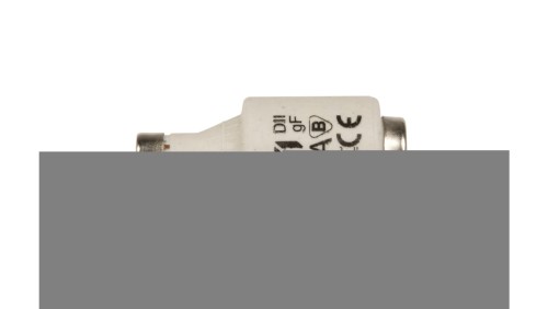 Wkładka bezpiecznikowa 10A DII gF / BiWts 500V AC/440V DC E27 002312104