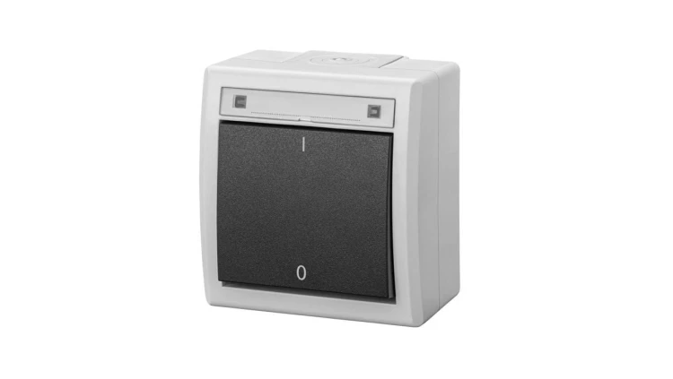 AQUANT 2K łącznik natynkowy 2-biegunowy IP55 szary 5003-10