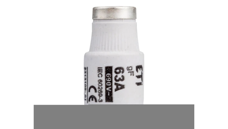 Wkładka bezpiecznikowa 63A DIII gF / BiWts 690V E33 002313109
